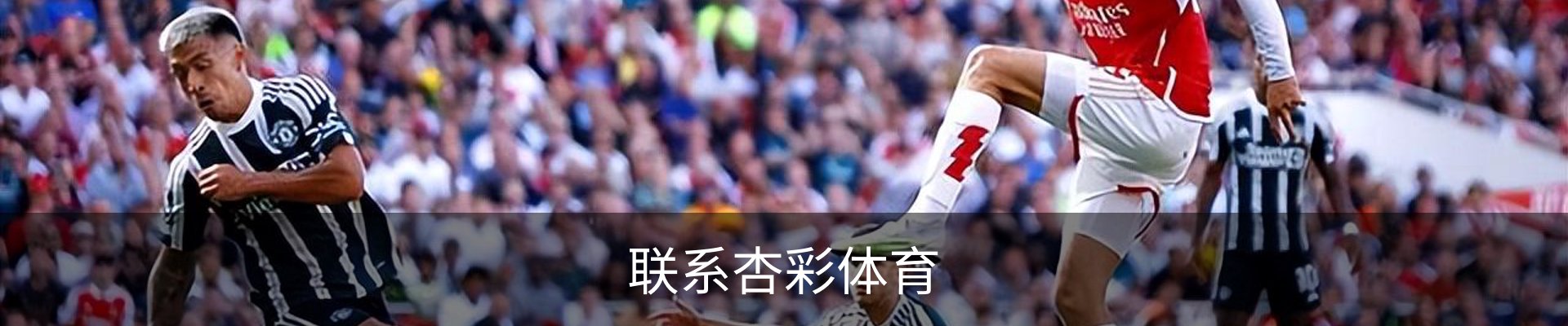 联系杏彩体育